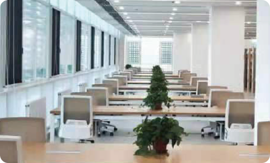 More About Us - Company 客户服务 - COLORS Lighting